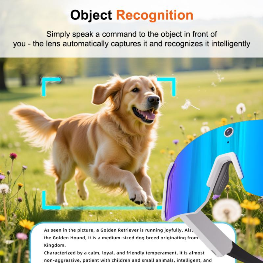 VisionSnap Glasses